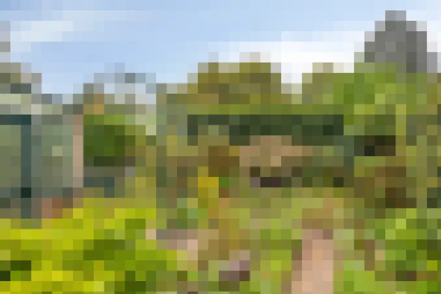 Mozartlaan 4 Apeldoorn thumbnail 19