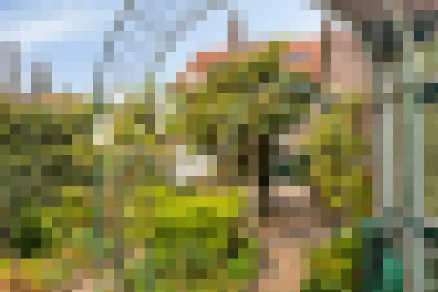Mozartlaan 4 Apeldoorn thumbnail 20