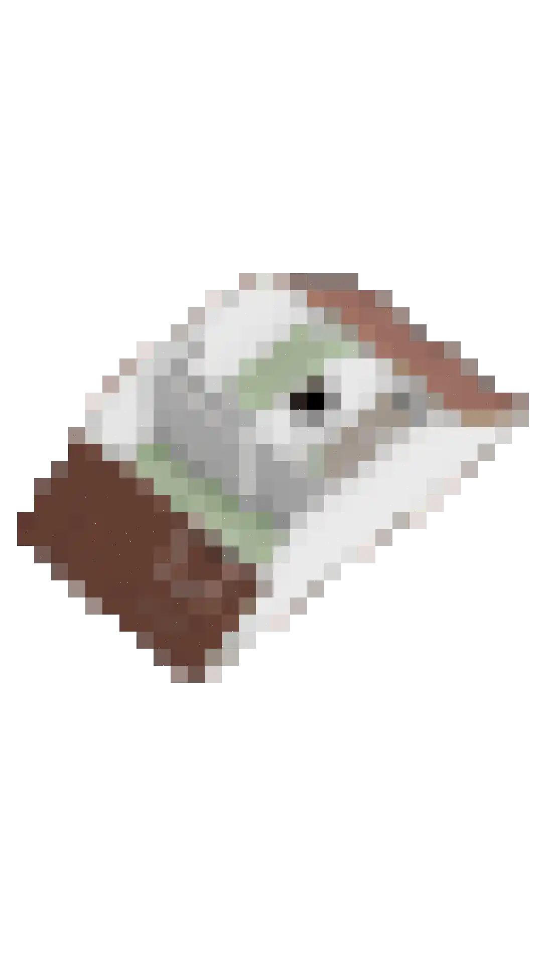 Mozartlaan 4 Apeldoorn thumbnail 51