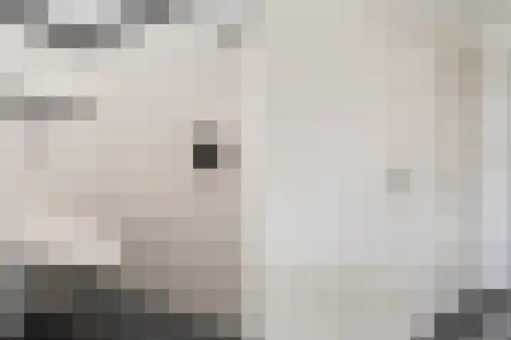 Mozartlaan 4 Rhoon thumbnail 10