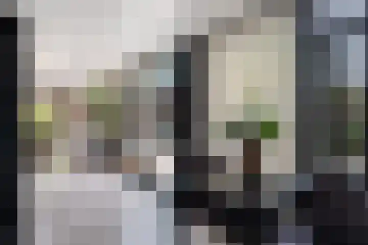 Mozartlaan 4 Rhoon thumbnail 12