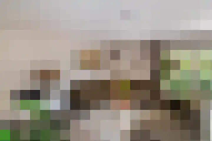 Mozartlaan 4 Rhoon thumbnail 13