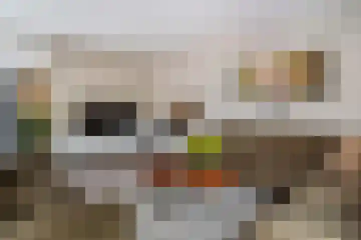 Mozartlaan 4 Rhoon thumbnail 14