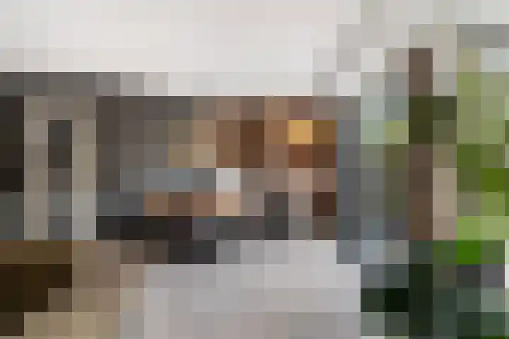 Mozartlaan 4 Rhoon thumbnail 15