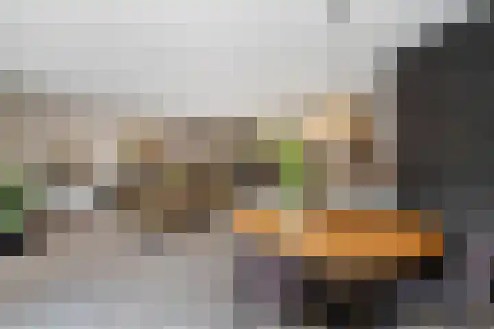 Mozartlaan 4 Rhoon thumbnail 16