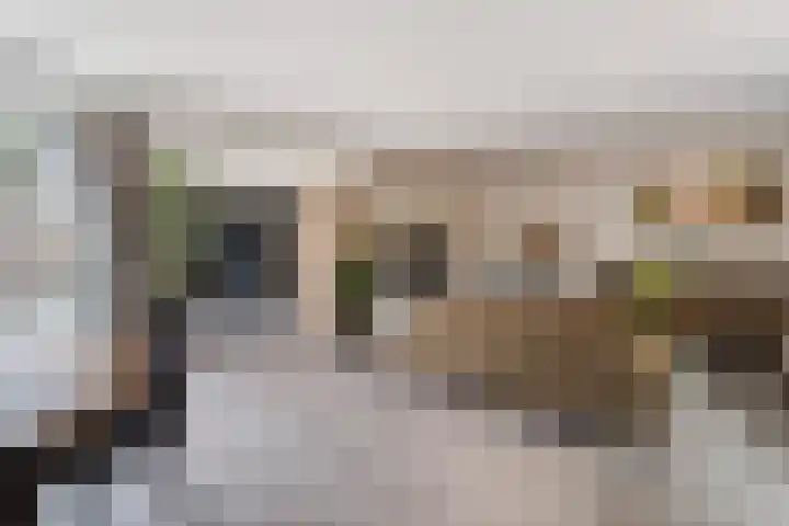 Mozartlaan 4 Rhoon thumbnail 17