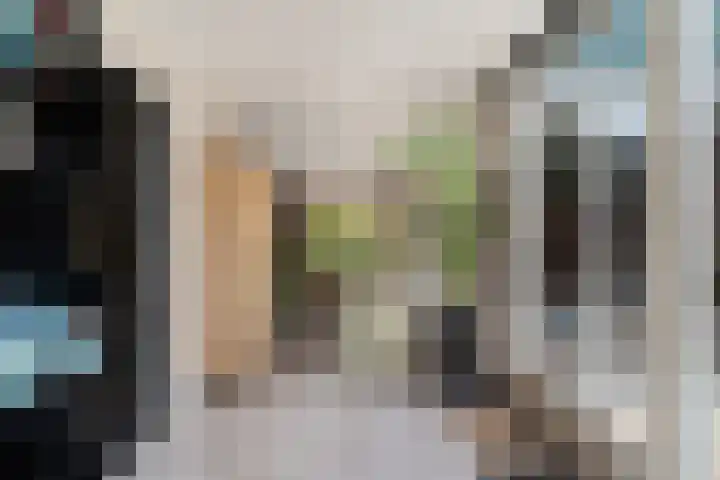 Mozartlaan 4 Rhoon thumbnail 19