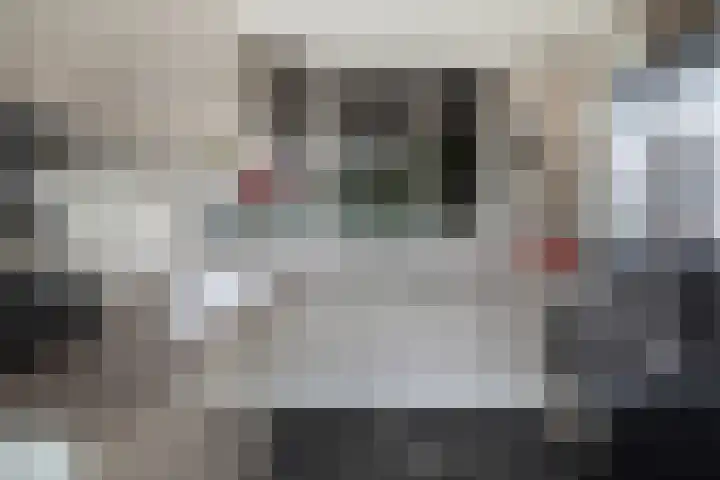 Mozartlaan 4 Rhoon thumbnail 21