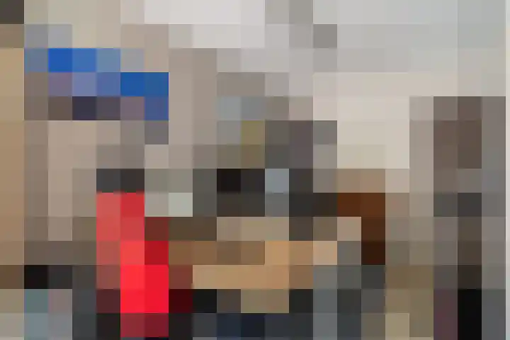 Mozartlaan 4 Rhoon thumbnail 24