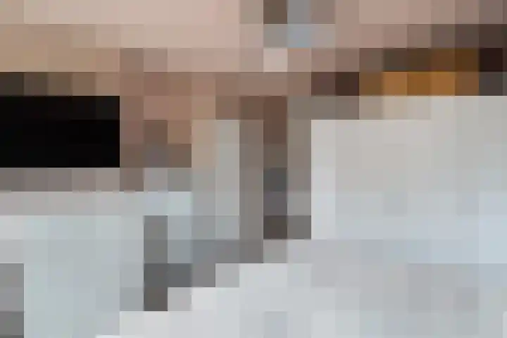 Mozartlaan 4 Rhoon thumbnail 26