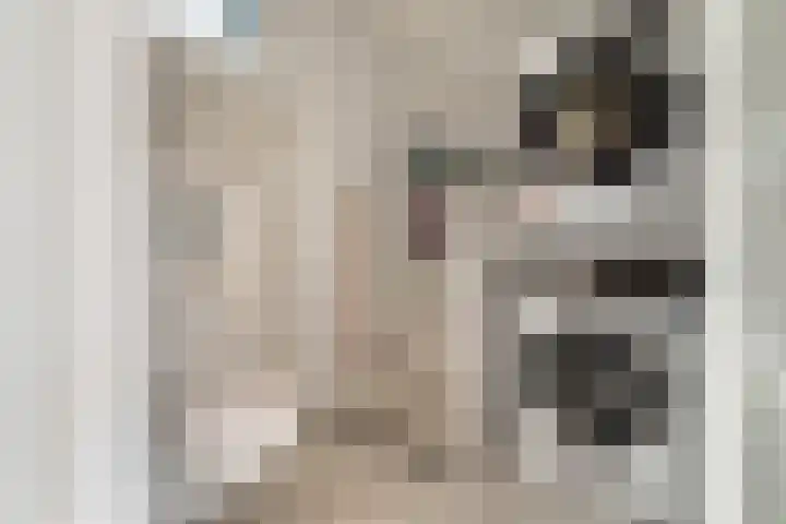 Mozartlaan 4 Rhoon thumbnail 27