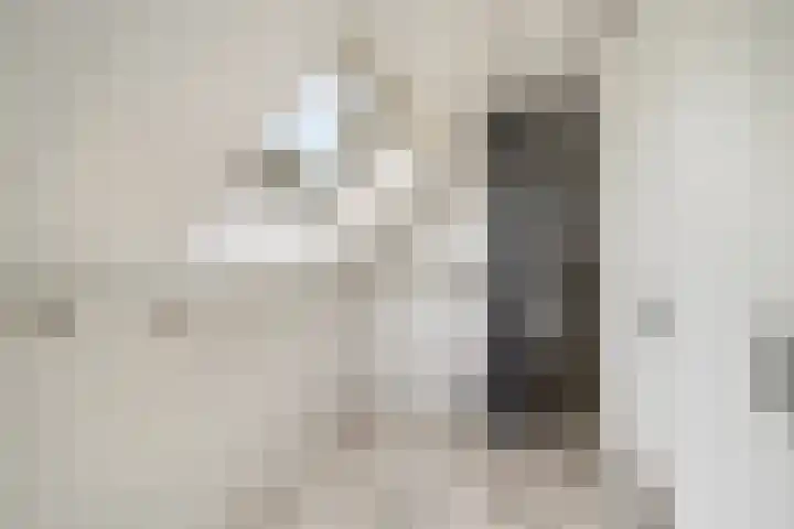 Mozartlaan 4 Rhoon thumbnail 34