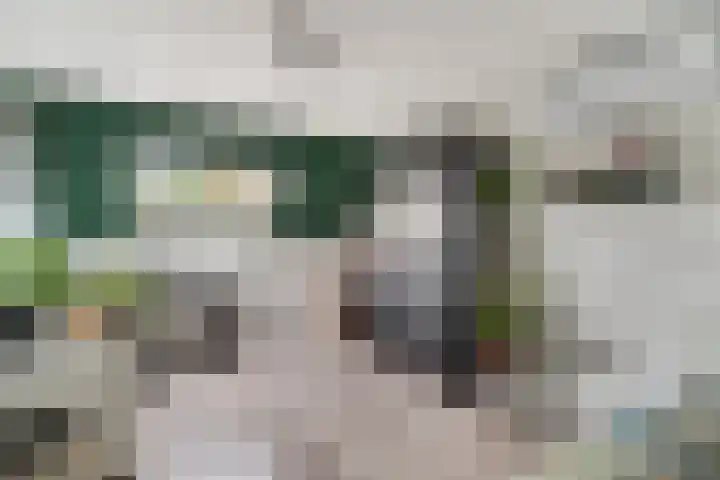 Mozartlaan 4 Rhoon thumbnail 37