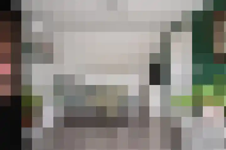 Mozartlaan 4 Rhoon thumbnail 39