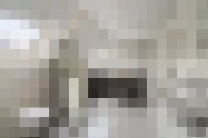 Mozartlaan 4 Rhoon thumbnail 40
