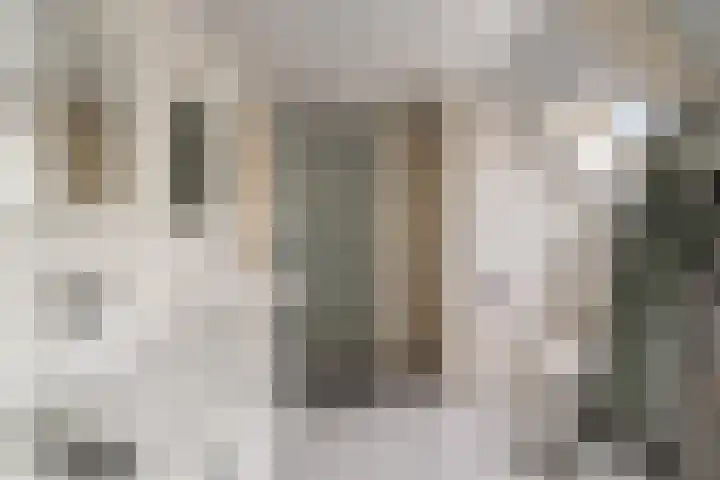 Mozartlaan 4 Rhoon thumbnail 41