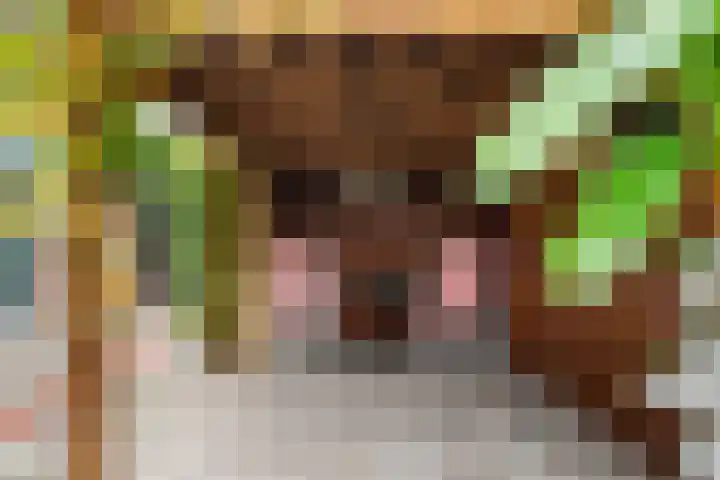 Mozartlaan 4 Rhoon thumbnail 45