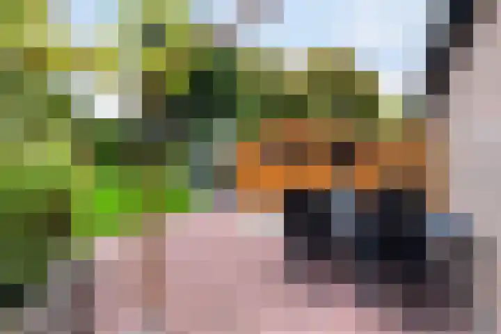 Mozartlaan 4 Rhoon thumbnail 46