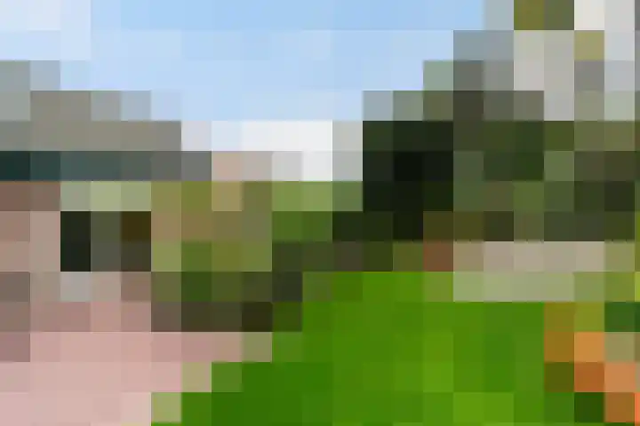 Mozartlaan 4 Rhoon thumbnail 47