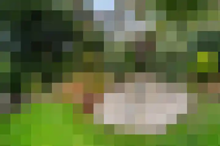 Mozartlaan 4 Rhoon thumbnail 48
