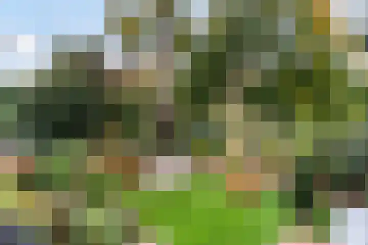 Mozartlaan 4 Rhoon thumbnail 49
