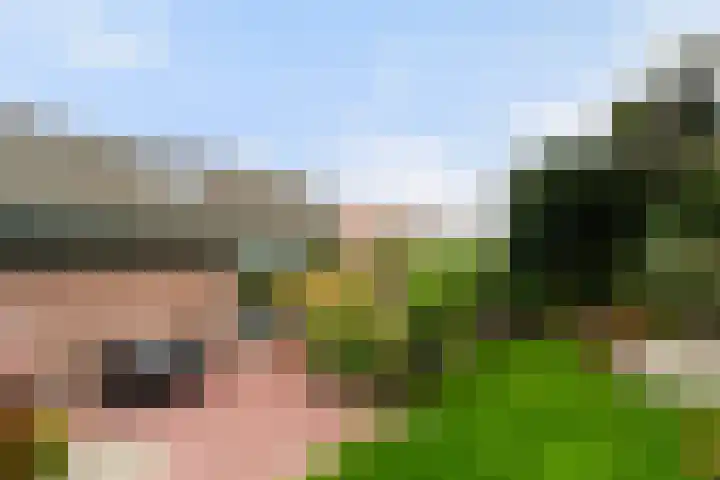 Mozartlaan 4 Rhoon thumbnail 5