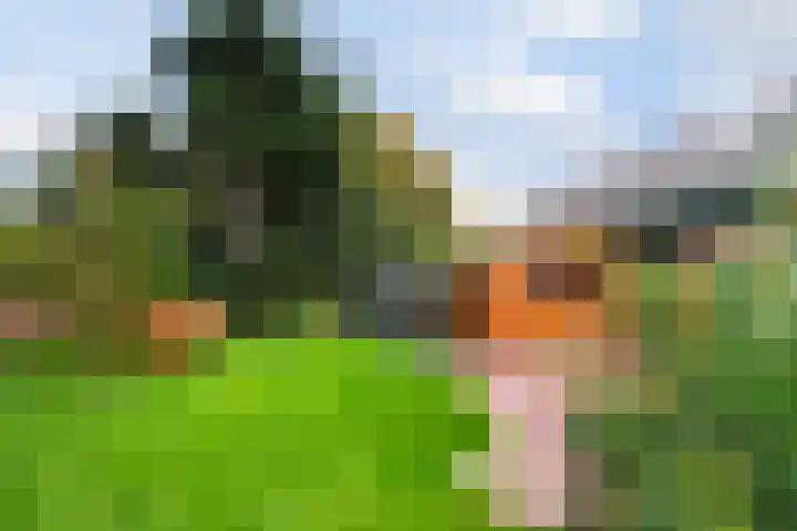 Mozartlaan 4 Rhoon thumbnail 50