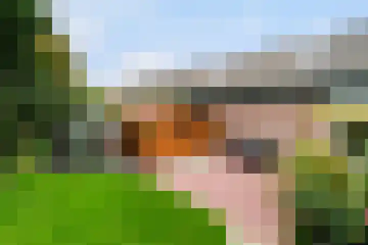 Mozartlaan 4 Rhoon thumbnail 51