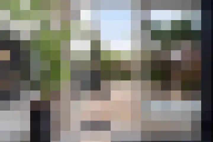 Mozartlaan 4 Rhoon thumbnail 52