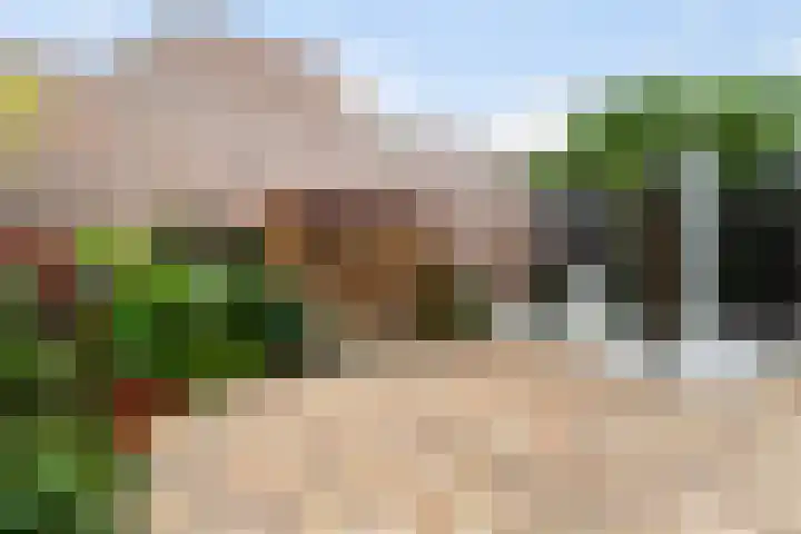 Mozartlaan 4 Rhoon thumbnail 54