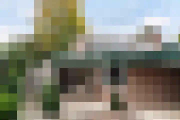 Mozartlaan 4 Rhoon thumbnail 6
