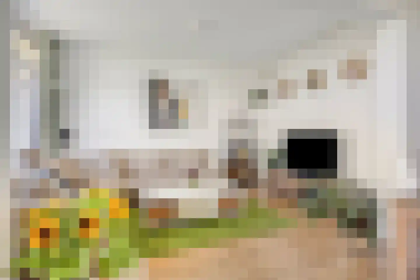 Mozartlaan 402 Den Haag thumbnail 25
