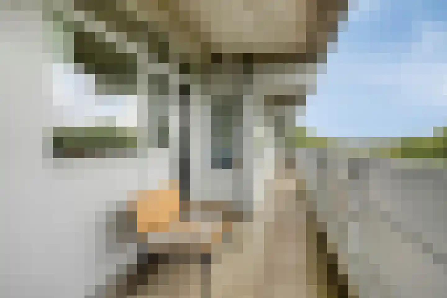 Mozartlaan 411 Tilburg thumbnail 11