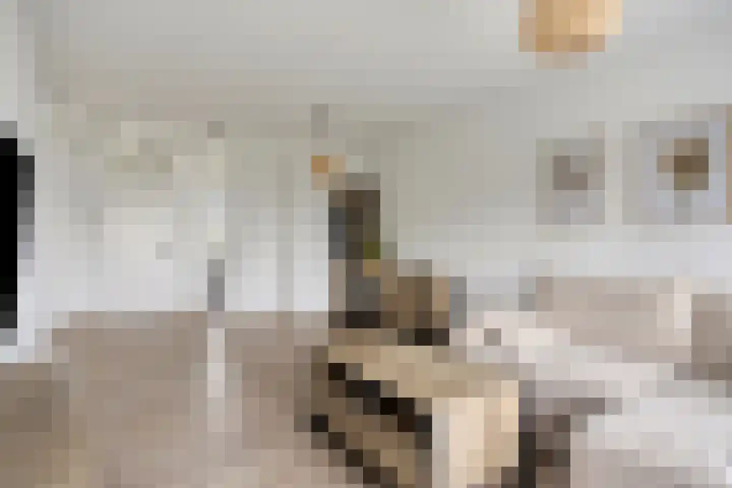 Mozartlaan 411 Tilburg thumbnail 18