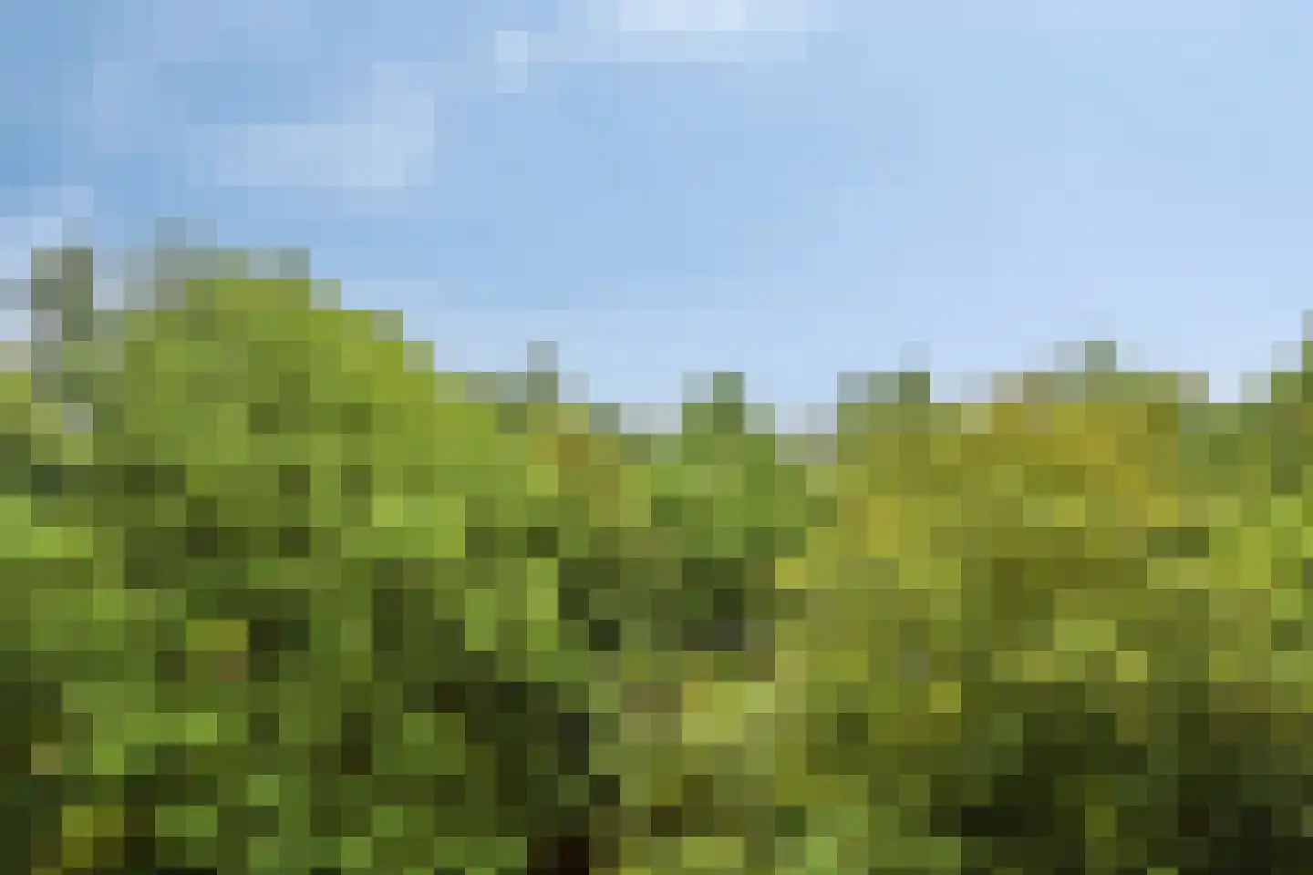Mozartlaan 411 Tilburg thumbnail 39