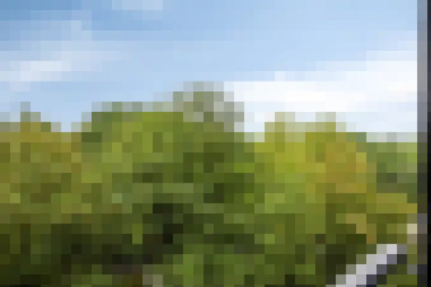 Mozartlaan 411 Tilburg thumbnail 40