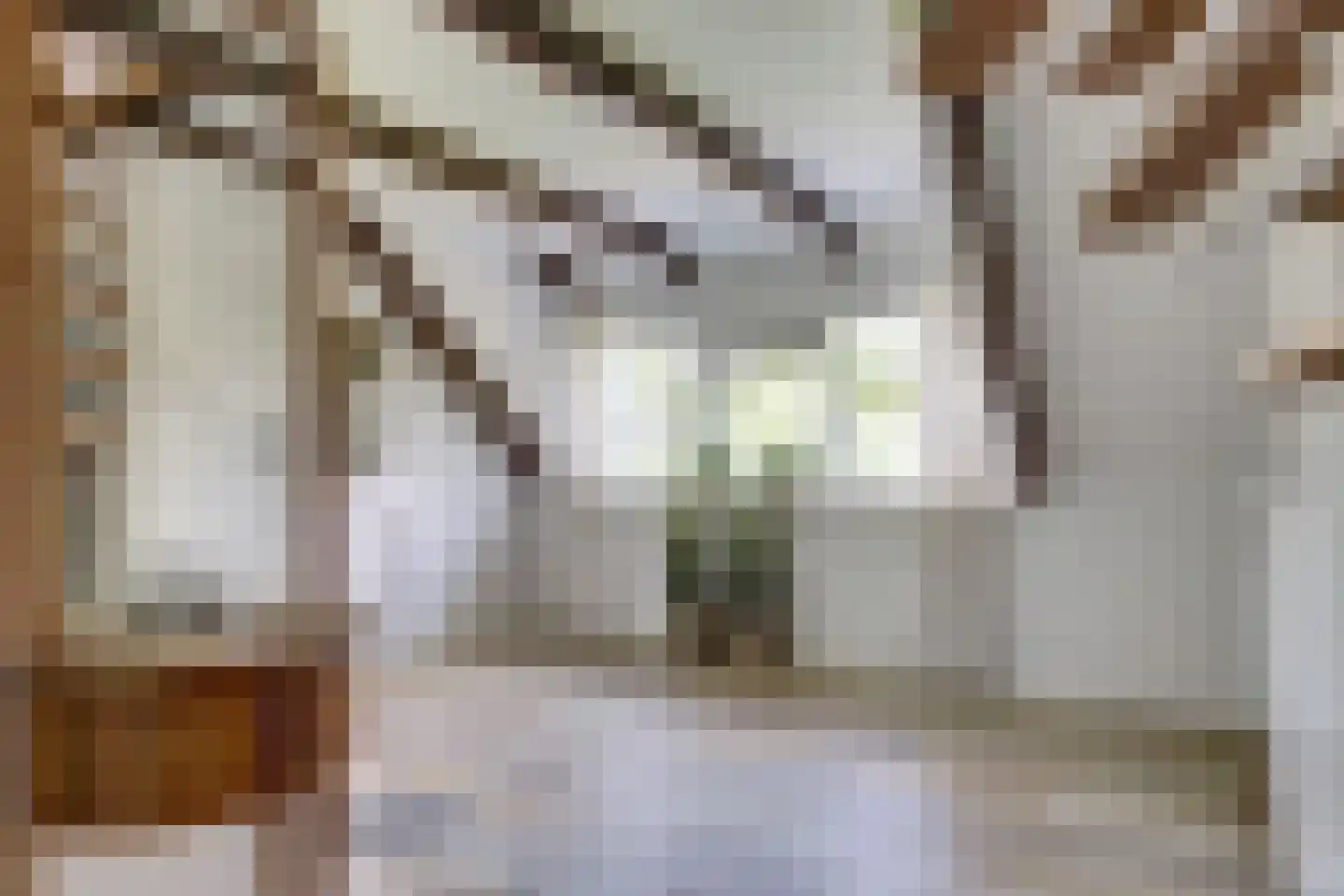 Mozartlaan 42 Waddinxveen thumbnail 25