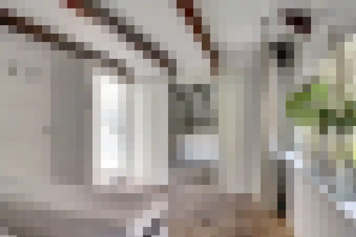 Mozartlaan 42 Waddinxveen thumbnail 30