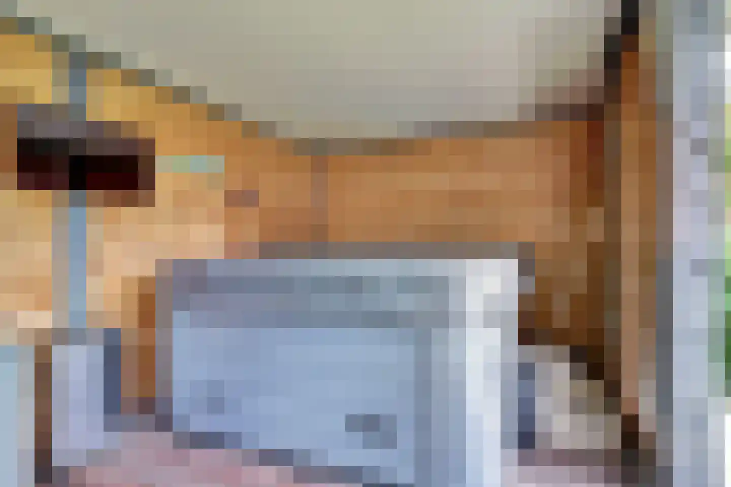 Mozartlaan 42 Waddinxveen thumbnail 51