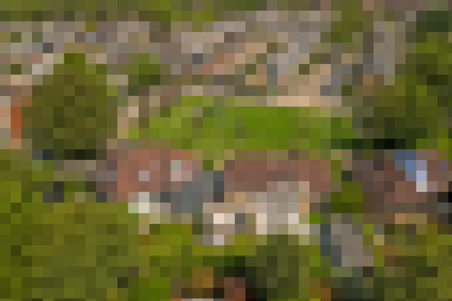 Mozartlaan 42 Waddinxveen thumbnail 55