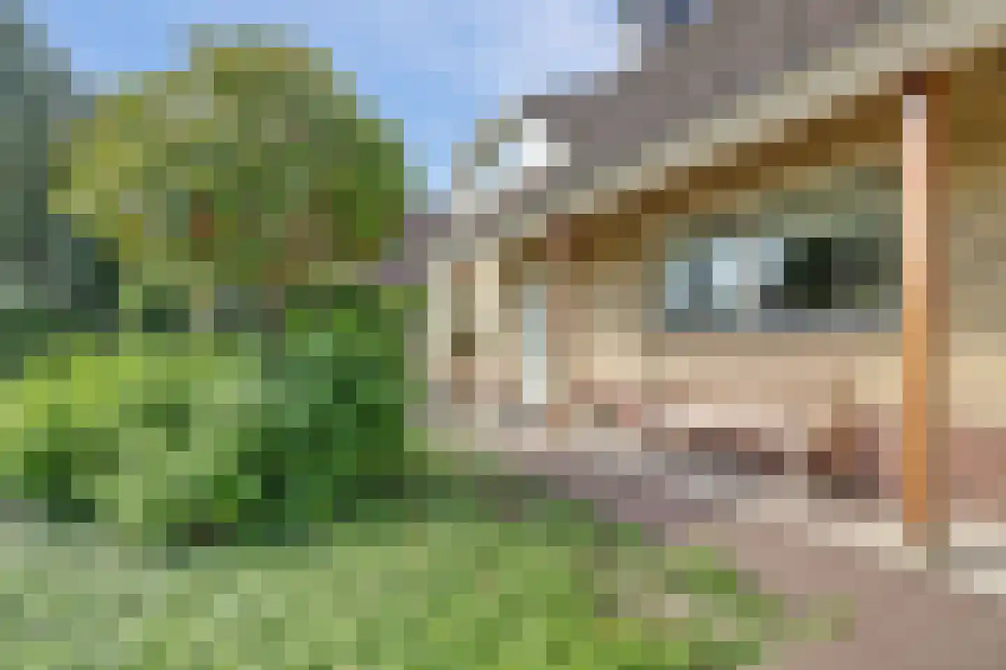Mozartlaan 42 Waddinxveen thumbnail 8