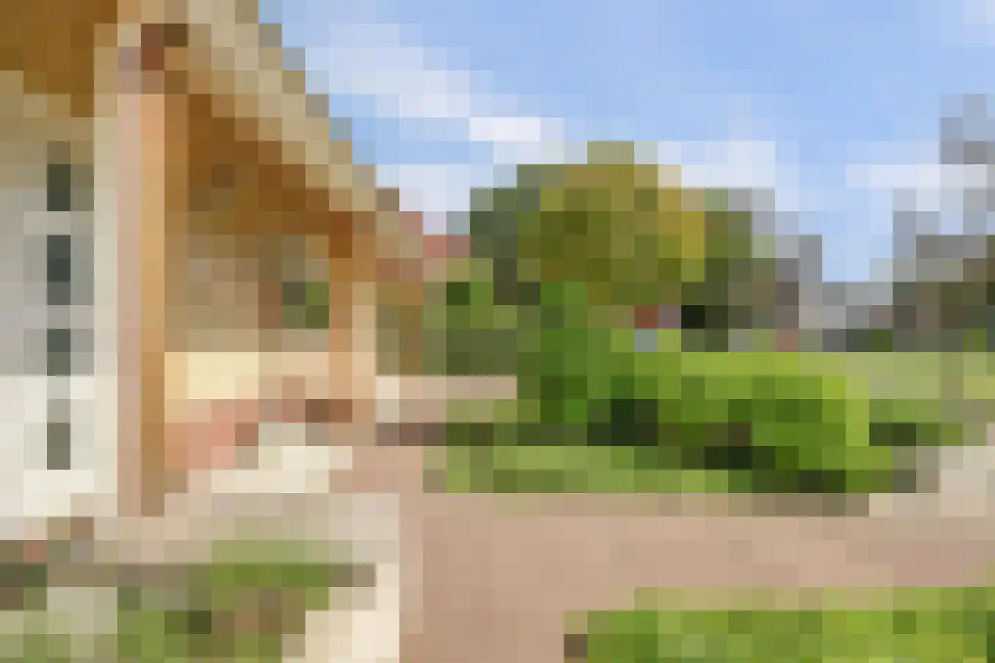Mozartlaan 42 Waddinxveen thumbnail 9