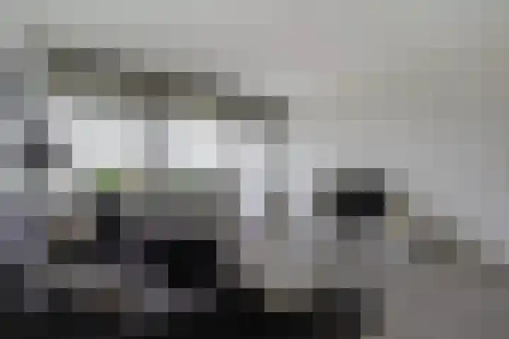 Mozartlaan 426 Den Haag thumbnail 14