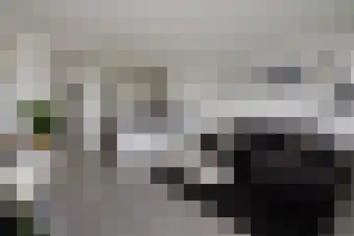 Mozartlaan 426 Den Haag thumbnail 15
