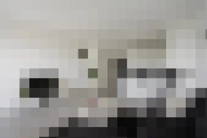 Mozartlaan 426 Den Haag thumbnail 16