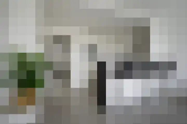 Mozartlaan 426 Den Haag thumbnail 17