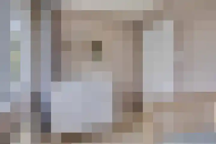 Mozartlaan 43 Drunen thumbnail 18