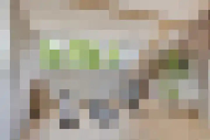 Mozartlaan 43 Drunen thumbnail 23