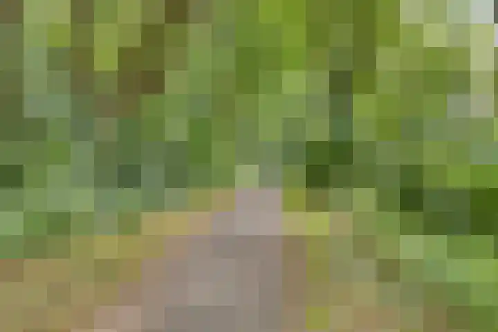 Mozartlaan 43 Drunen thumbnail 36