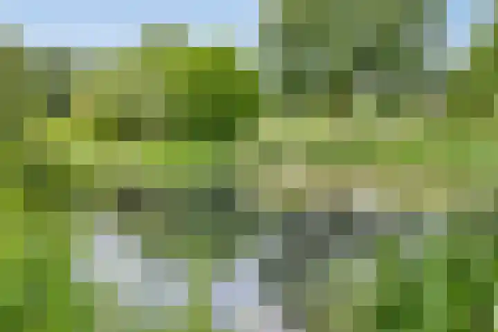 Mozartlaan 43 Drunen thumbnail 38